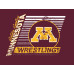 Minnesota NCAA 2023 Fan Shirt Pack